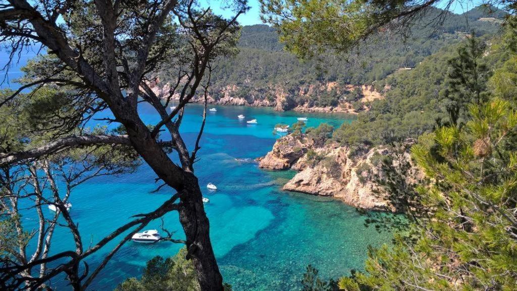 Studio Bandol Centre 2 Etoiles Ideal Emplacement Dış mekan fotoğraf